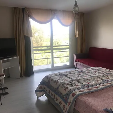 Teos Antik Kent Izmir Havuzlu 6 Ve Mutfak * Siğacık